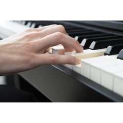 Casio AP-750 BK Smart Hybrid Celviano